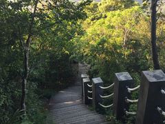 -梧桐山风景名胜区