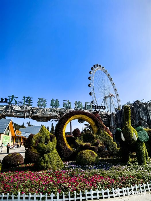 大连森林动物园图片