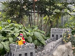 -南宫五洲植物乐园