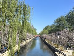 -元大都城垣遗址公园
