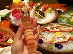 -月龍吟(朝龙汇店)