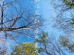 -古塔公园