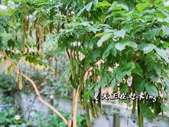 -往来·竹里.宝宝宴.生日宴.团建.宴席(花乡农居店)