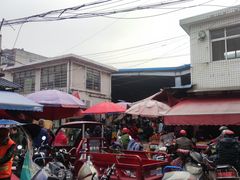 -树木岭集贸市场(劳动东路)