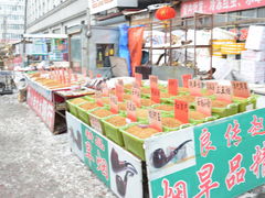 -哈尔滨道外花鸟鱼市场