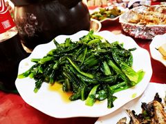油麦菜-荔枝红五号农庄