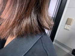 -豪斯塔美发连锁