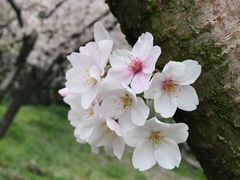 -苏州上方山国家森林公园