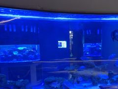 -上和臻品中国菜(花园街店)