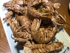 皮皮虾-船歌·鱼水饺青岛菜(金狮广场店)