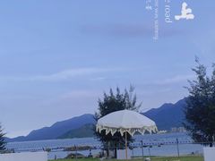 -花海间·即刻露营