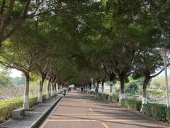 -风云岭森林公园
