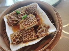 -点都德·毕德寮
