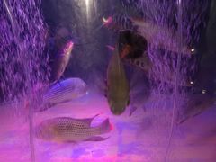 -欧亚达商业广场(红桥店)