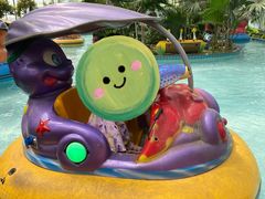 -南宫五洲植物乐园