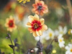 -仙山谷激浪漂流