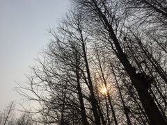 景点-溱湖国家湿地公园