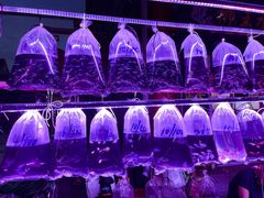 -华声天桥民俗文化园