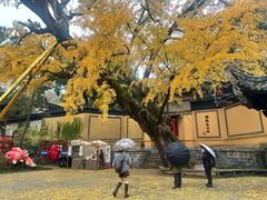-无锡惠山寺
