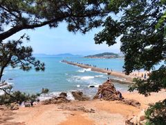 -青岛海滨风景区