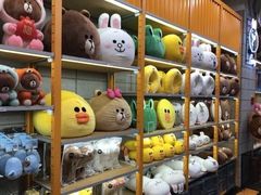 -line friends(明洞旗舰店)
