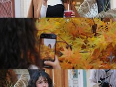 -Blue Concept Cafe&Farm·關於藍