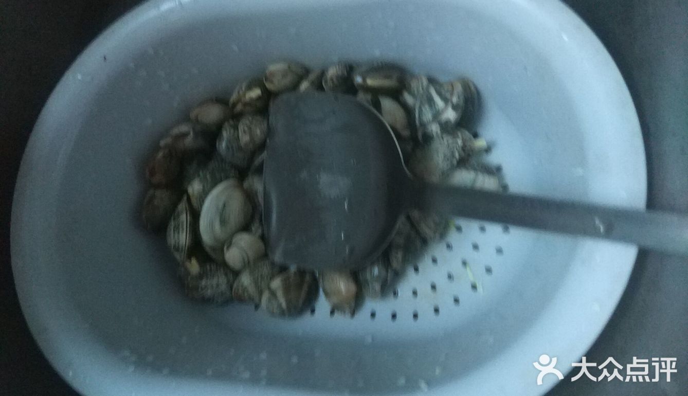 豆瓣酱辣炒花蛤 