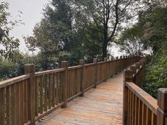 -铁山坪森林公园