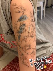-雲艺刺青·洗纹身