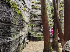 -梭布垭石林景区