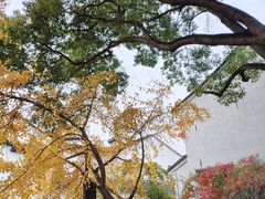 -山塘街