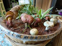 -福照楼汽锅鸡·云南特色菜(万达广场店)