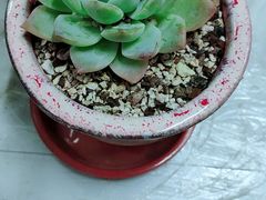 -昼夜咖啡馆