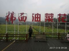 -红山村