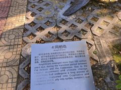 -广东惠东海龟国家级自然保护区