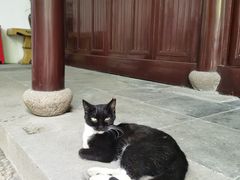 -西园戒幢律寺