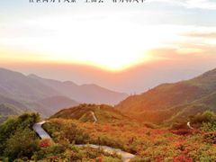 -大围山国家森林公园