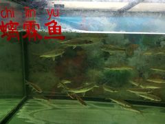 -神憩宾馆-餐厅