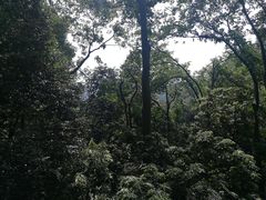 -三台山庄中餐厅