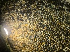 -龙熙温泉水世界