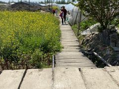 -青浦采草莓天天草莓园