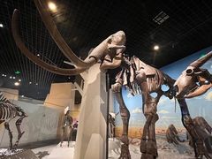 -国家自然博物馆