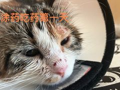-中国农业大学动物医院