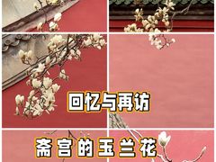 -天坛公园