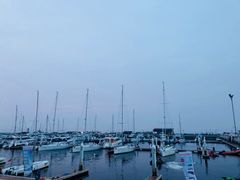 -东港音乐喷泉广场