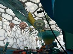 -水立方嬉水乐园