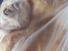 -韩国利尔面包(桂林路店)