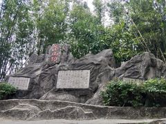 -东莞市大岭山森林公园