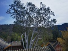 -潭柘寺景区