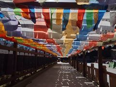 -九寨沟-树正沟